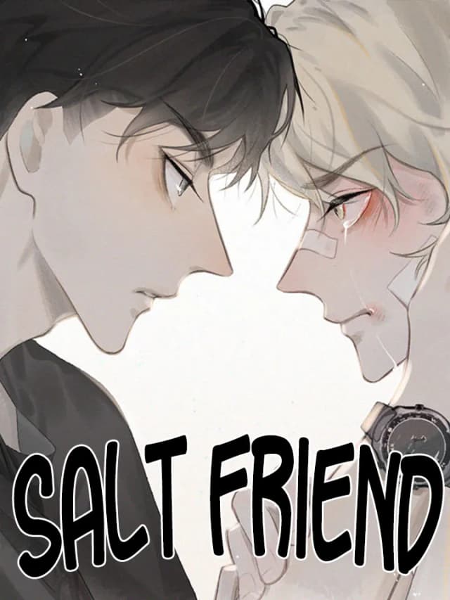 Salt Friend
