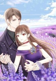 The Diary of Loving a Forgetful Sweet Wife ( The Amnesiac Wife )