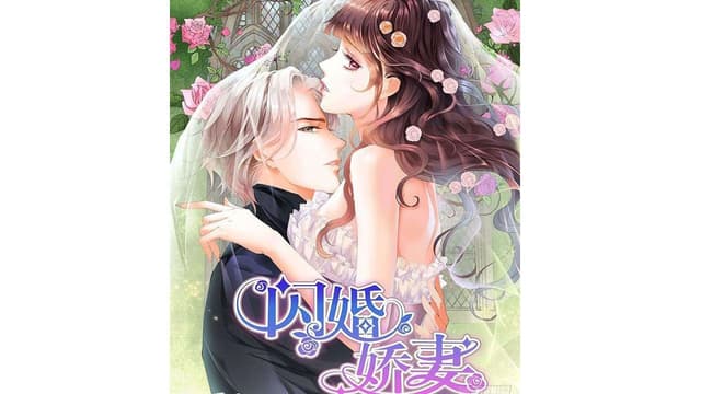 The Beautiful Wife Of The Whirlwind Marriage