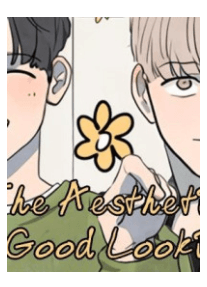 The Aesthetic of Good Looking