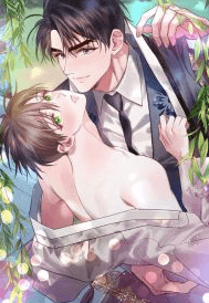 Whispers Through the Willows