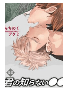 Kimi No Shiranai Xx
